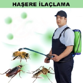 Yusufeli Böcek İlaçlama